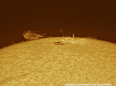 Sunspots and Prominences